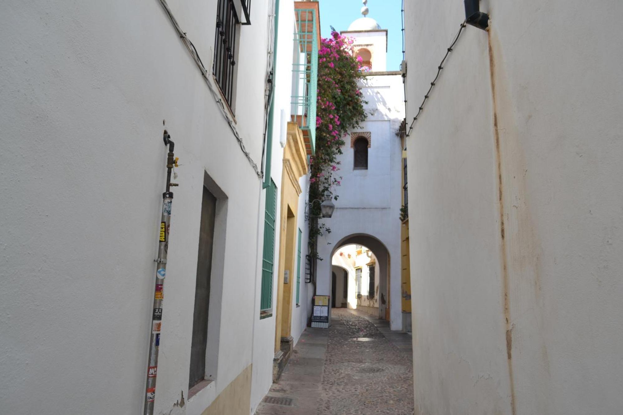 Sunshine Patio De La Hoguera Lejlighed Córdoba Eksteriør billede